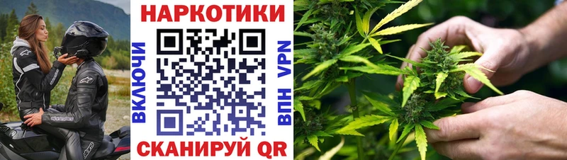 Где можно купить наркотики Людиново Галлюциногенные грибы  ЭКСТАЗИ  Канабис  APVP  ГАШ 