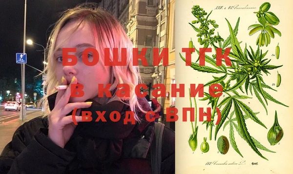 молекула духа Пересвет