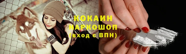 молекула духа Пересвет