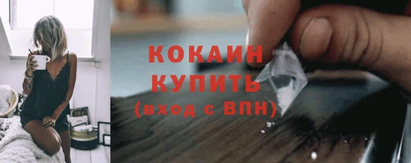 кокс Алексин
