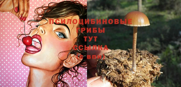 молекула духа Пересвет