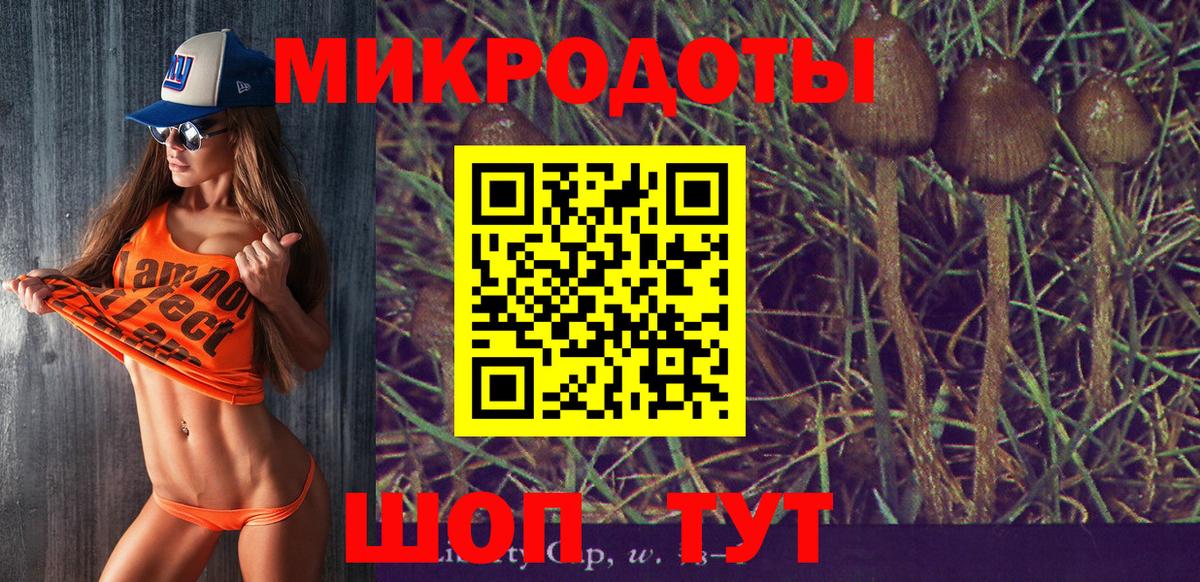 Галлюциногенные грибы Cubensis  Вход с VPN  Людиново 